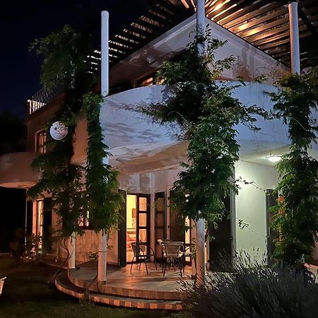 Green Villa In Olives Bar Εξωτερικό φωτογραφία