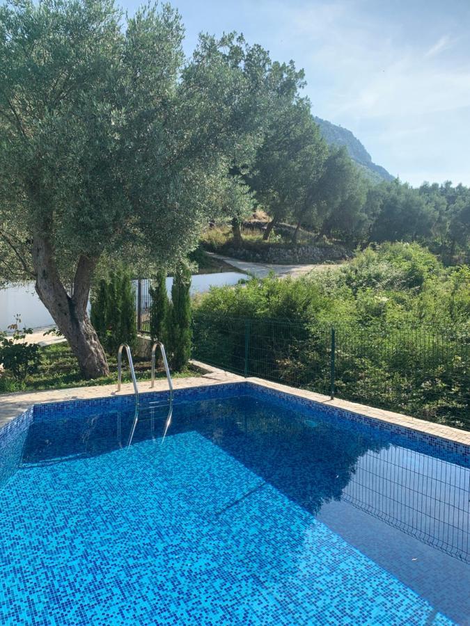 Green Villa In Olives Bar Εξωτερικό φωτογραφία