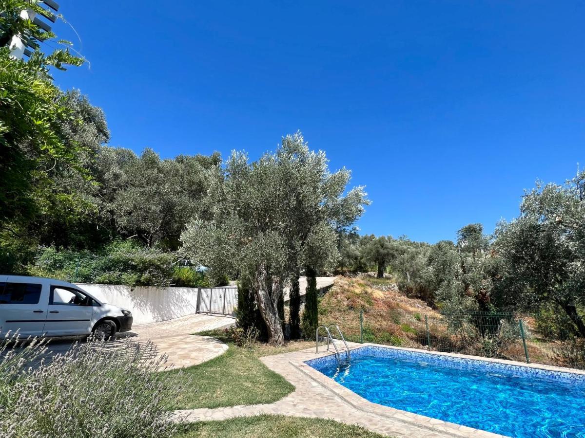 Green Villa In Olives Bar Εξωτερικό φωτογραφία