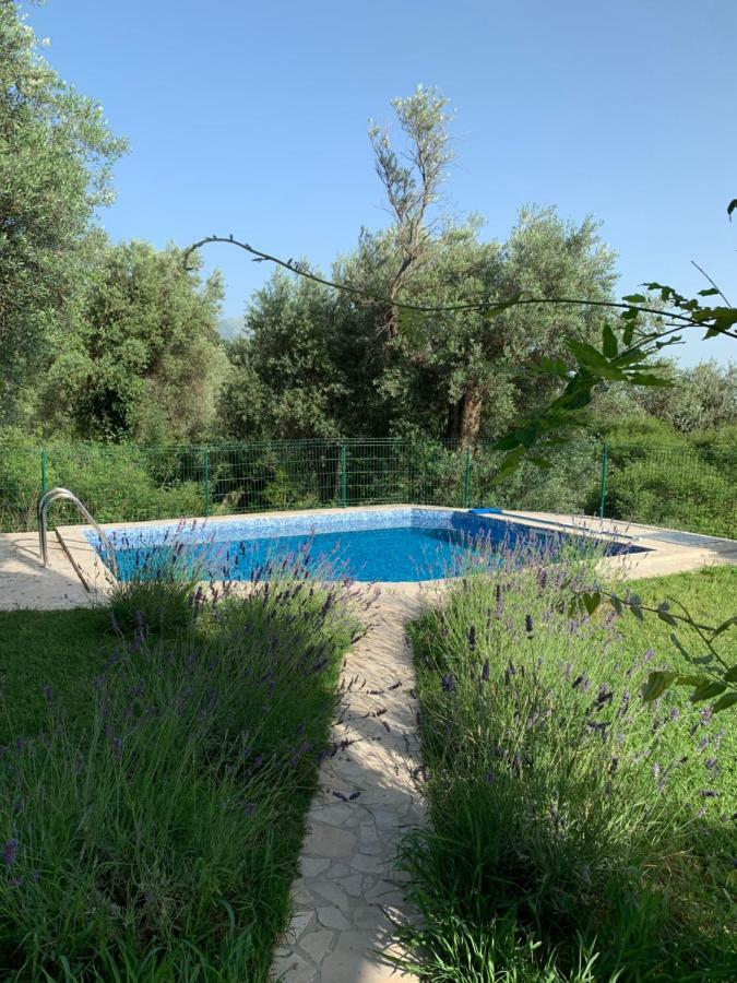 Green Villa In Olives Bar Εξωτερικό φωτογραφία